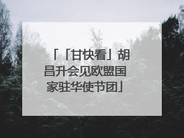 「甘快看」胡昌升会见欧盟国家驻华使节团