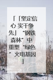 「坚定信心 实干争先」“钢铁森林”中 重塑“绿色”火电基因