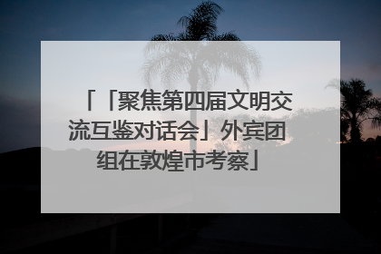 「聚焦第四届文明交流互鉴对话会」外宾团组在敦煌市考察