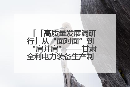「高质量发展调研行」从“面对面”到“肩并肩”——甘肃全利电力装备生产制造项目一线见闻