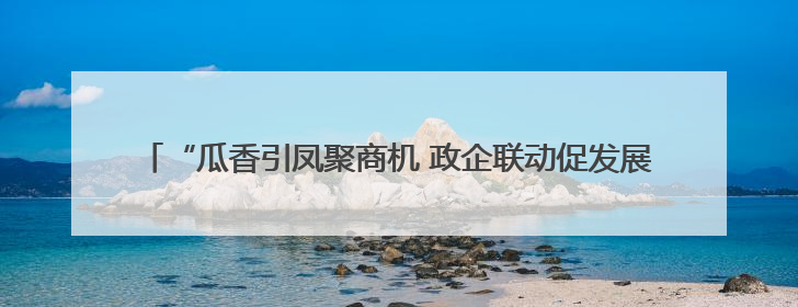 “瓜香引凤聚商机 政企联动促发展”北京大兴庞各庄镇 2025 年西瓜季政企联动产业推介活动圆满举行