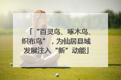 “百灵鸟、啄木鸟、织布鸟”，为仙居县域发展注入“新”动能
