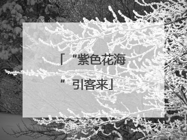 “紫色花海”引客来