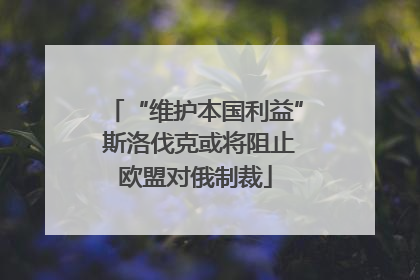 “维护本国利益” 斯洛伐克或将阻止欧盟对俄制裁
