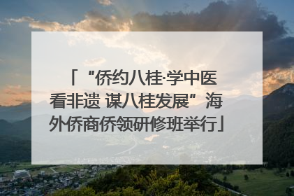 “侨约八桂·学中医 看非遗 谋八桂发展”海外侨商侨领研修班举行