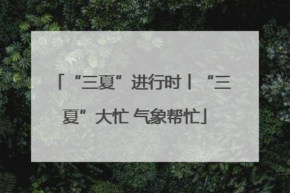 “三夏”进行时丨“三夏”大忙 气象帮忙