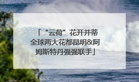 “云荷”花开并蒂 全球两大花都昆明&阿姆斯特丹强强联手