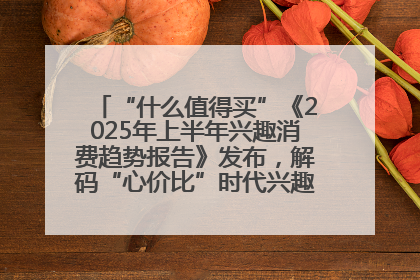 “什么值得买”《2025年上半年兴趣消费趋势报告》发布，解码“心价比”时代兴趣消费新范式