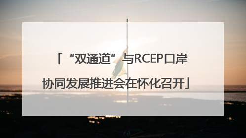 “双通道”与RCEP口岸协同发展推进会在怀化召开