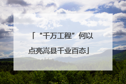 “千万工程”何以点亮嵩县千业百态