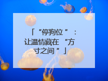 “停狗位 ”：让温情藏在 “方寸之间 ”
