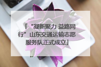 “凝新聚力 益路同行”山东交通运输志愿服务队正式成立