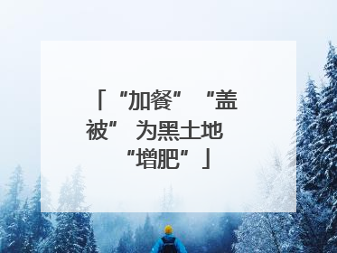 “加餐”“盖被” 为黑土地“增肥”