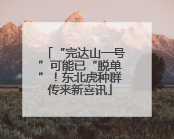 “完达山一号”可能已“脱单”!东北虎种群传来新喜讯