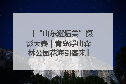 “山东邂逅美”摄影大赛｜青岛浮山森林公园花海引客来