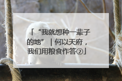 “我就想种一辈子的地”｜何以天府，我们用粮食作答②