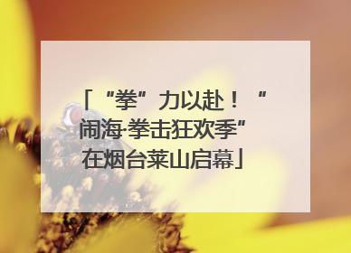 “拳”力以赴！“闹海·拳击狂欢季”在烟台莱山启幕