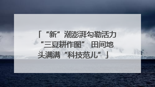 “新”潮澎湃勾勒活力“三夏耕作图” 田间地头满满“科技范儿”
