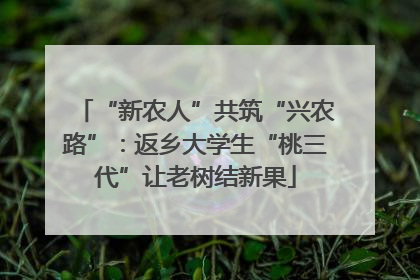 “新农人”共筑“兴农路”：返乡大学生“桃三代”让老树结新果