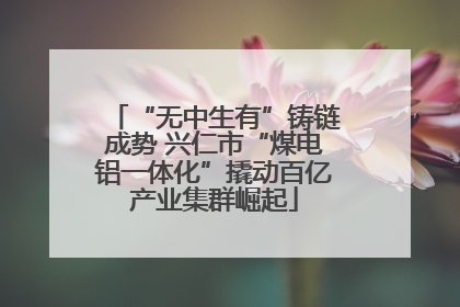 “无中生有”铸链成势 兴仁市“煤电铝一体化”撬动百亿产业集群崛起