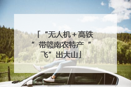 “无人机＋高铁”带赣南农特产“飞”出大山