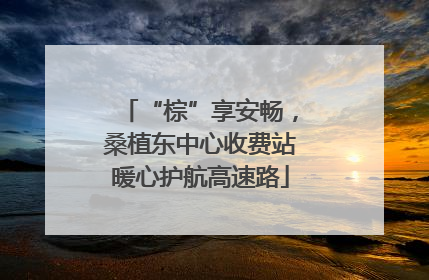 “棕”享安畅，桑植东中心收费站暖心护航高速路