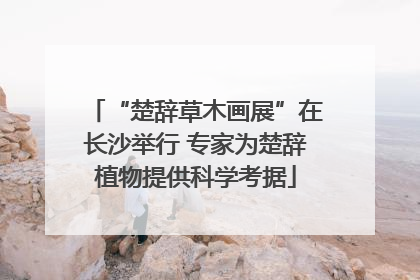 “楚辞草木画展”在长沙举行 专家为楚辞植物提供科学考据