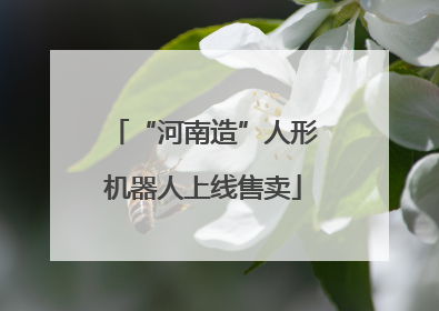 “河南造”人形机器人上线售卖