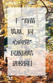 “育苗筑基、同心向党”民族团结进校园