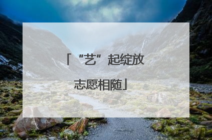 “艺”起绽放 志愿相随
