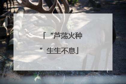 “芦荡火种”生生不息