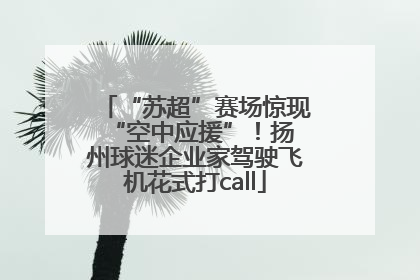 “苏超”赛场惊现 “空中应援”！扬州球迷企业家驾驶飞机花式打call