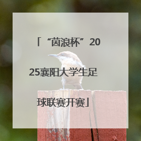“茵浪杯”2025襄阳大学生足球联赛开赛