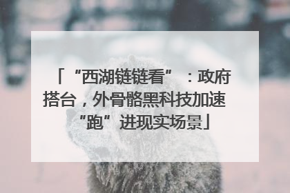 “西湖链链看”：政府搭台，外骨骼黑科技加速“跑”进现实场景