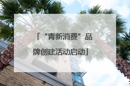 “青新消费”品牌创建活动启动