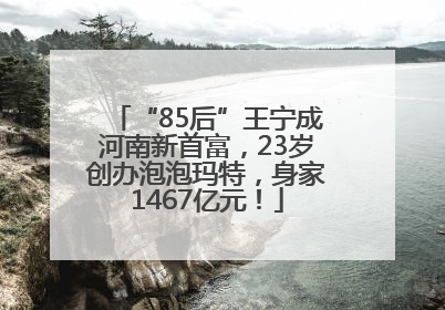 “85后”王宁成河南新首富，23岁创办泡泡玛特，身家1467亿元！
