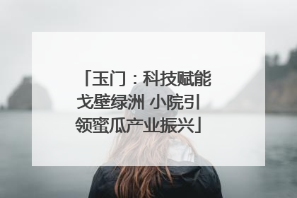 玉门：科技赋能戈壁绿洲 小院引领蜜瓜产业振兴