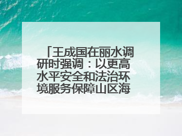 王成国在丽水调研时强调：以更高水平安全和法治环境服务保障山区海岛县高质量发展