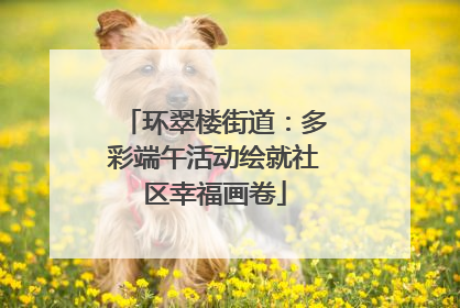 环翠楼街道：多彩端午活动绘就社区幸福画卷