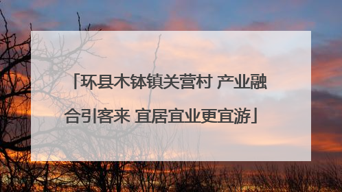 环县木钵镇关营村 产业融合引客来 宜居宜业更宜游