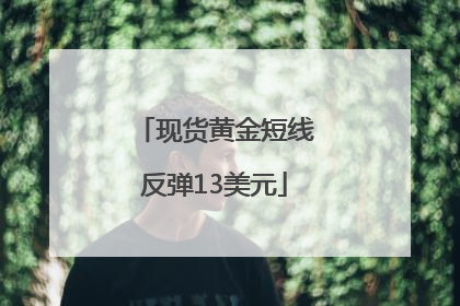 现货黄金短线反弹13美元