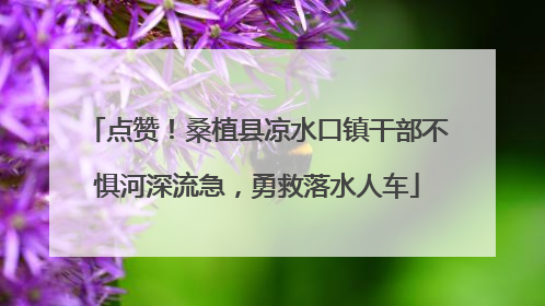 点赞！桑植县凉水口镇干部不惧河深流急，勇救落水人车