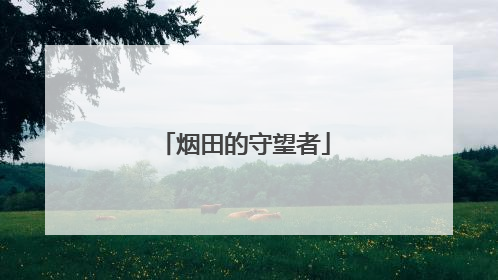 烟田的守望者