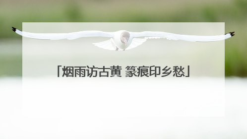 烟雨访古黄 篆痕印乡愁