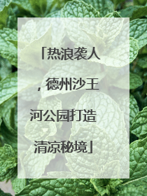 热浪袭人，德州沙王河公园打造清凉秘境