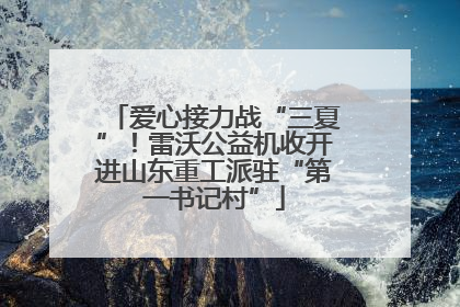 爱心接力战“三夏”！雷沃公益机收开进山东重工派驻“第一书记村”