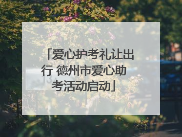 爱心护考礼让出行 德州市爱心助考活动启动
