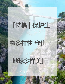 特稿｜保护生物多样性 守住地球多样美