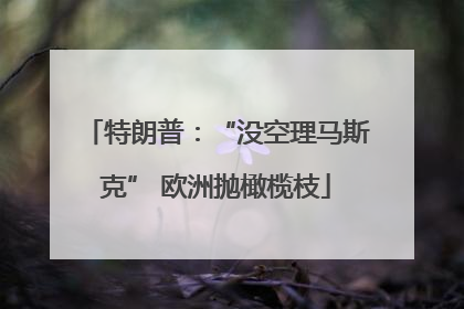 特朗普：“没空理马斯克” 欧洲抛橄榄枝
