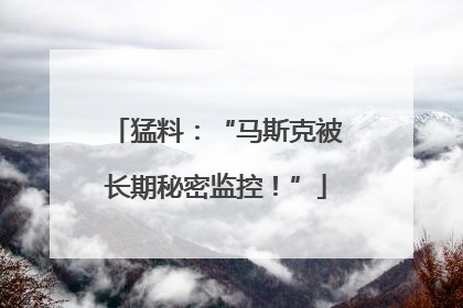 猛料：“马斯克被长期秘密监控！”